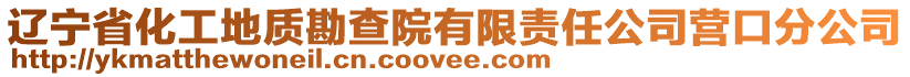 遼寧省化工地質(zhì)勘查院有限責任公司營口分公司