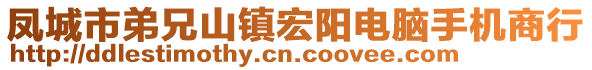 鳳城市弟兄山鎮宏陽電腦手機商行