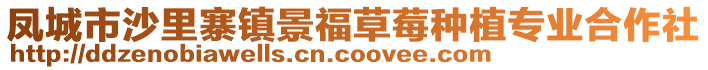 鳳城市沙里寨鎮(zhèn)景福草莓種植專業(yè)合作社