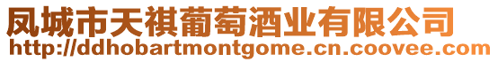 鳳城市天祺葡萄酒業(yè)有限公司