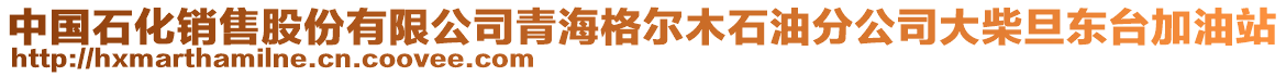 中國(guó)石化銷售股份有限公司青海格爾木石油分公司大柴旦東臺(tái)加油站