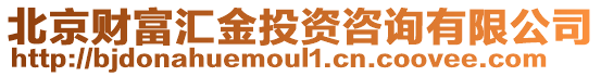 北京財(cái)富匯金投資咨詢有限公司