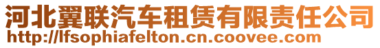 河北翼聯汽車租賃有限責任公司