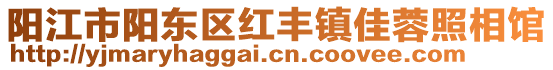 陽江市陽東區紅豐鎮佳蓉照相館