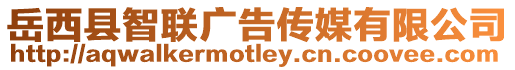 岳西縣智聯(lián)廣告?zhèn)髅接邢薰? style=