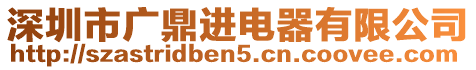 深圳市廣鼎進(jìn)電器有限公司