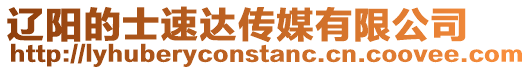 遼陽(yáng)的士速達(dá)傳媒有限公司