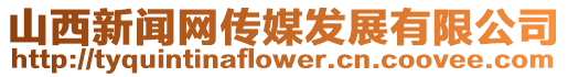 山西新聞網傳媒發展有限公司