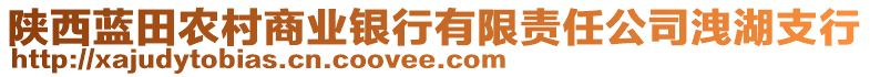 陜西藍田農(nóng)村商業(yè)銀行有限責(zé)任公司洩湖支行