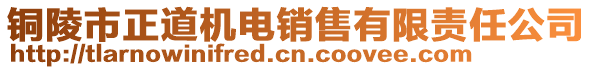 銅陵市正道機(jī)電銷售有限責(zé)任公司