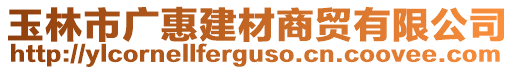 玉林市广惠建材商贸有限公司