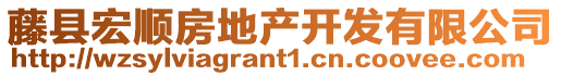 藤縣宏順房地產開發有限公司
