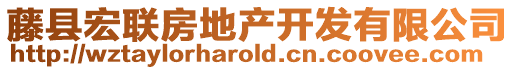 藤縣宏聯(lián)房地產(chǎn)開發(fā)有限公司