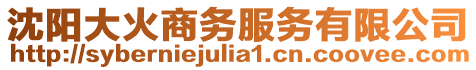 沈陽大火商務服務有限公司