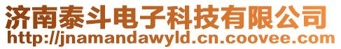 濟南泰斗電子科技有限公司