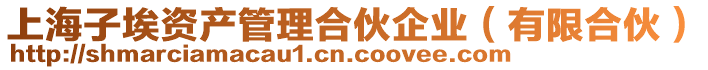 上海子埃資產(chǎn)管理合伙企業(yè)(有限合伙)