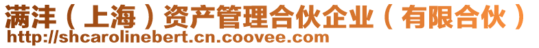 滿灃(上海)資產管理合伙企業(有限合伙)