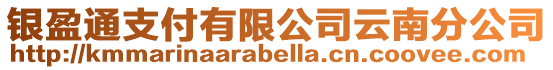 銀盈通支付有限公司云南分公司