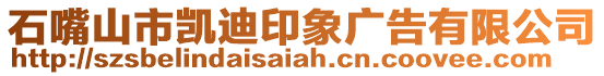 石嘴山市凱迪印象廣告有限公司