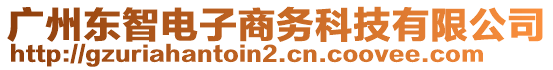 廣州東智電子商務(wù)科技有限公司