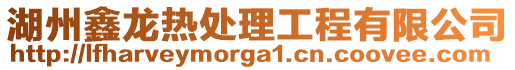 湖州鑫龍熱處理工程有限公司