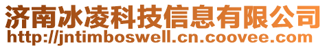 濟(jì)南冰凌科技信息有限公司