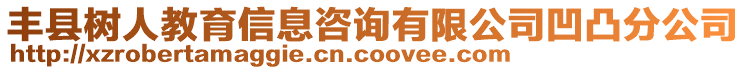 豐縣樹人教育信息咨詢有限公司凹凸分公司