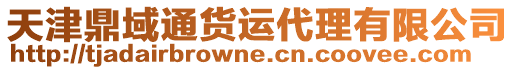 天津鼎域通貨運(yùn)代理有限公司