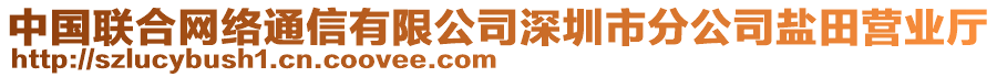 中國聯(lián)合網(wǎng)絡(luò)通信有限公司深圳市分公司鹽田營(yíng)業(yè)廳