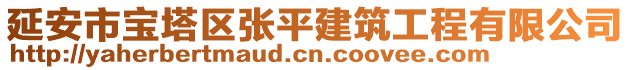 延安市寶塔區(qū)張平建筑工程有限公司