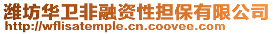 濰坊華衛(wèi)非融資性擔(dān)保有限公司