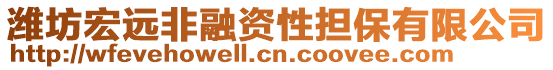 濰坊宏遠(yuǎn)非融資性擔(dān)保有限公司