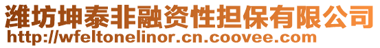 濰坊坤泰非融資性擔(dān)保有限公司