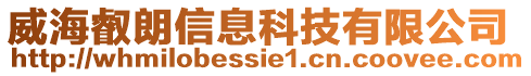 威海叡朗信息科技有限公司