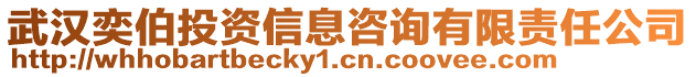 武漢奕伯投資信息咨詢有限責任公司