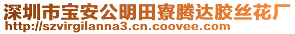 深圳市寶安公明田寮騰達(dá)膠絲花廠