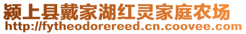 潁上縣戴家湖紅靈家庭農(nóng)場