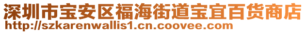 深圳市寶安區(qū)福海街道寶宜百貨商店