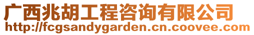 廣西兆胡工程咨詢有限公司