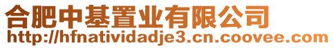合肥中基置業(yè)有限公司