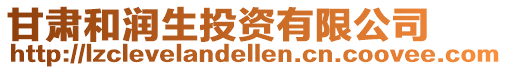 甘肅和潤生投資有限公司