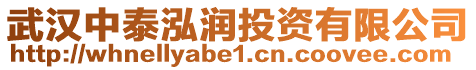 武漢中泰泓潤投資有限公司