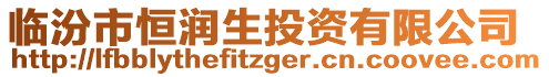 臨汾市恒潤生投資有限公司