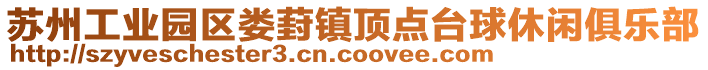 蘇州工業園區婁葑鎮頂點臺球休閑俱樂部