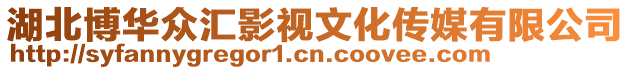 湖北博華眾匯影視文化傳媒有限公司
