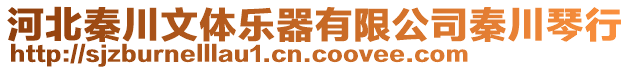 河北秦川文體樂器有限公司秦川琴行