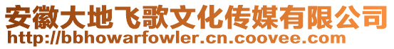安徽大地飛歌文化傳媒有限公司