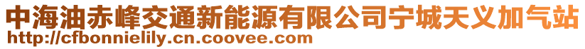 中海油赤峰交通新能源有限公司寧城天義加氣站