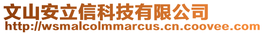 文山安立信科技有限公司