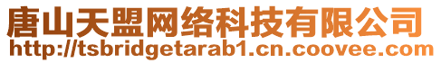唐山天盟網絡科技有限公司